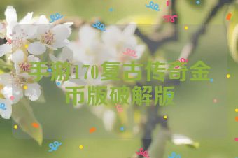 手游170复古传奇金币版破解版