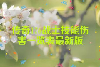 传奇176战士技能伤害一览表最新版
