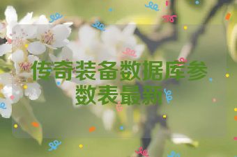 传奇装备数据库参数表最新