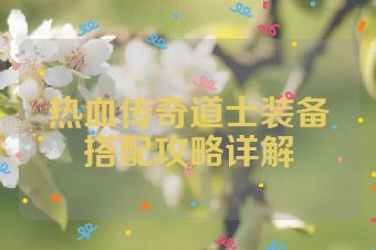 热血传奇道士装备搭配攻略详解
