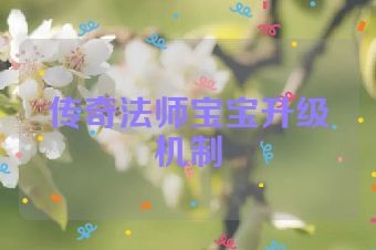 传奇法师宝宝升级机制