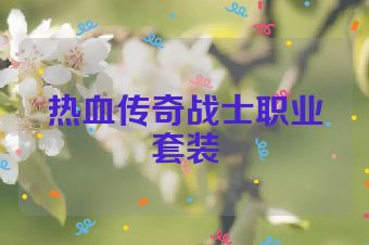 热血传奇战士职业套装