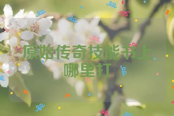 原始传奇技能书上哪里打