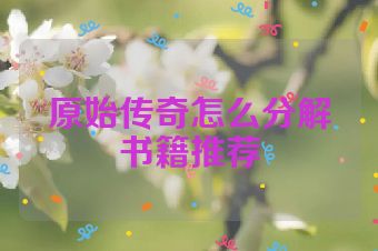 原始传奇怎么分解书籍推荐