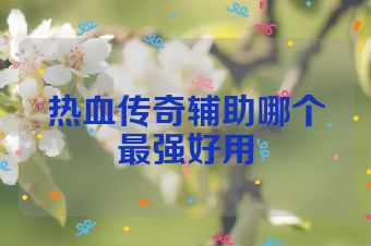 热血传奇辅助哪个最强好用
