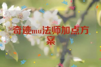 奇迹mu法师加点方案