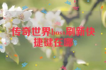 传奇世界boss刷新快捷键在哪