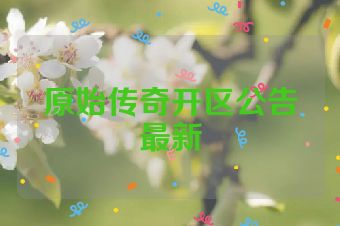 原始传奇开区公告最新