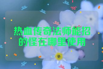 热血传奇法师能招的怪在哪里使用