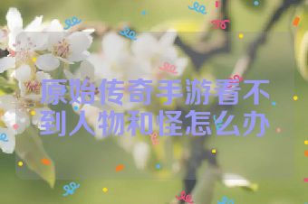 原始传奇手游看不到人物和怪怎么办