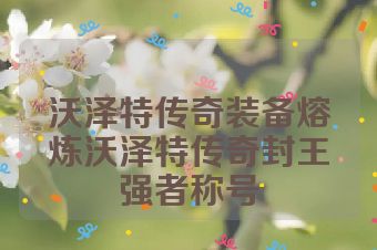 沃泽特传奇装备熔炼沃泽特传奇封王强者称号