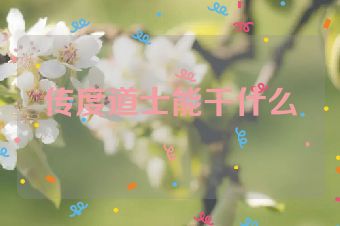 传度道士能干什么