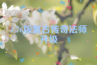 1.76版复古传奇法师升级