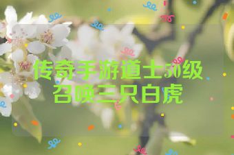 传奇手游道士50级召唤三只白虎