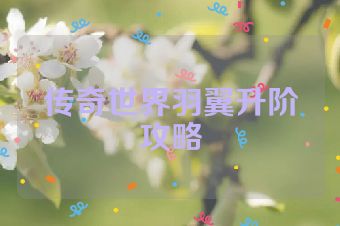 传奇世界羽翼升阶攻略