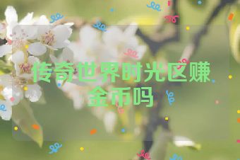 传奇世界时光区赚金币吗