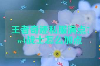 王者奇迹私服满点7w4战士怎么加点