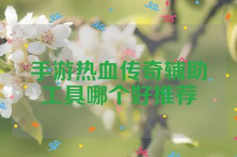 手游热血传奇辅助工具哪个好推荐