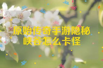 原始传奇手游隐秘峡谷怎么卡怪