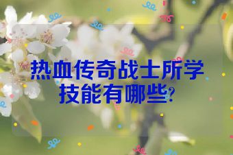 热血传奇战士所学技能有哪些?