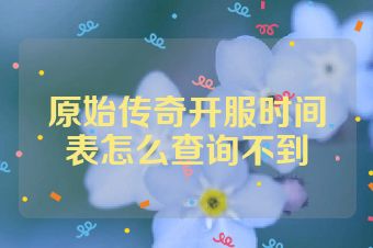 原始传奇开服时间表怎么查询不到