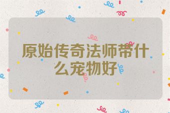 原始传奇法师带什么宠物好