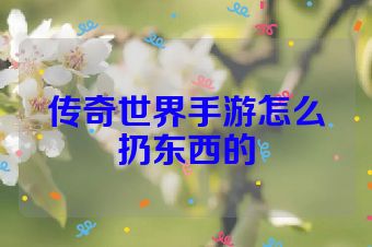 传奇世界手游怎么扔东西的
