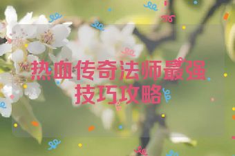 热血传奇法师最强技巧攻略