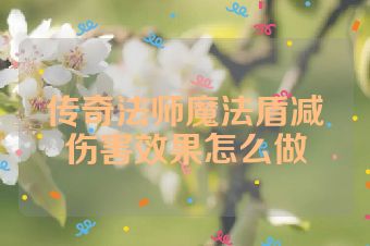 传奇法师魔法盾减伤害效果怎么做