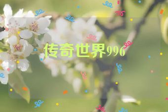 传奇世界996
