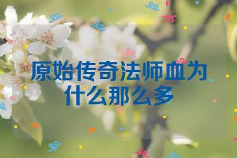 原始传奇法师血为什么那么多