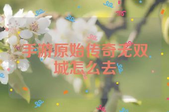 手游原始传奇无双城怎么去