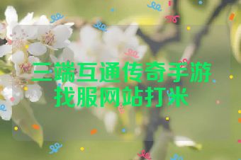 三端互通传奇手游找服网站打米
