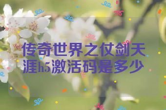 传奇世界之仗剑天涯h5激活码是多少