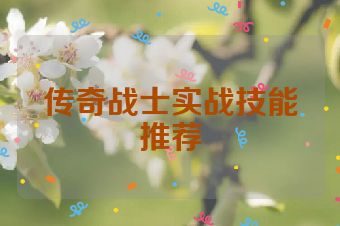 传奇战士实战技能推荐