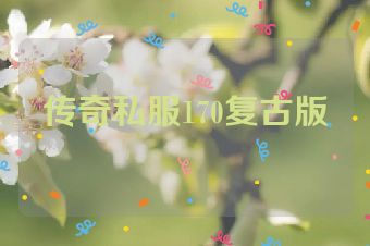 传奇私服170复古版