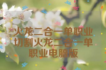 火龙二合一单职业切割火龙二合一单职业电脑版