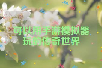 可以用手游模拟器玩的传奇世界