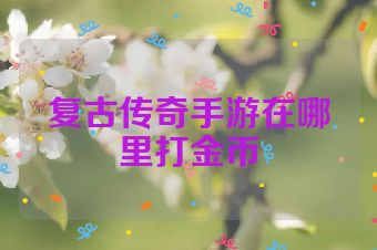 复古传奇手游在哪里打金币