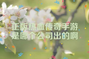 正版热血传奇手游是哪个公司出的啊