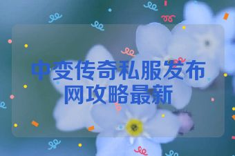 中变传奇私服发布网攻略最新