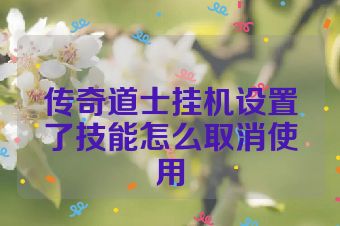 传奇道士挂机设置了技能怎么取消使用