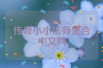 传奇小小法师聚合中文网