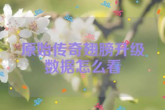 原始传奇翅膀升级数据怎么看