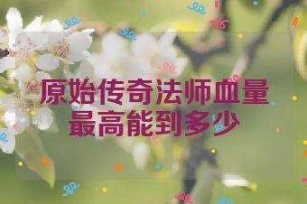 原始传奇法师血量最高能到多少