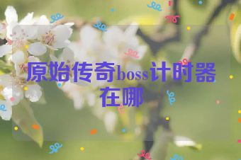 原始传奇boss计时器在哪