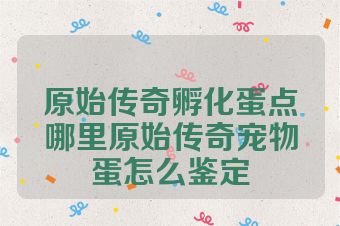 原始传奇孵化蛋点哪里原始传奇宠物蛋怎么鉴定