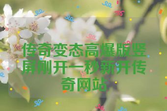 传奇变态高爆版竖屏刚开一秒新开传奇网站