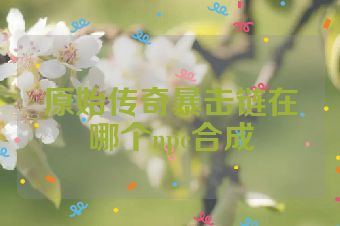 原始传奇暴击链在哪个npc合成
