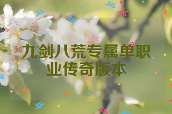 九剑八荒专属单职业传奇版本